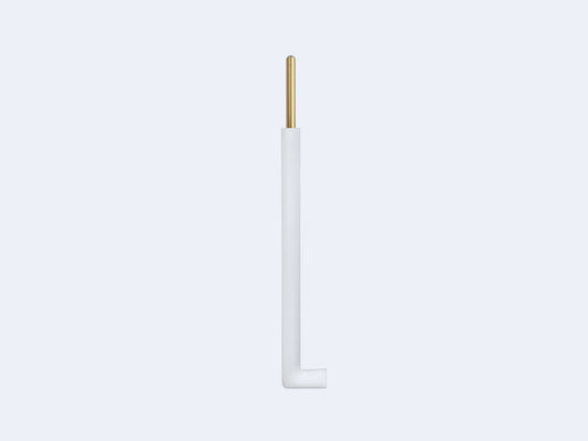 L-type Platinum Electrode
